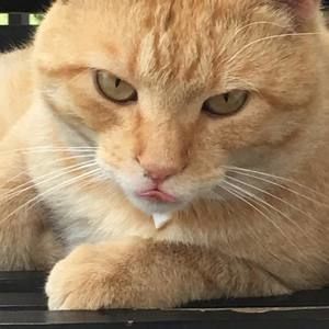 Meet your Posher, Terri